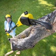 Lawn Renovation and Restoration in Madison, FL