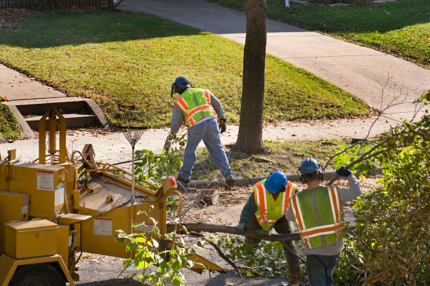 Best Commercial Tree Services  in Madison, FL